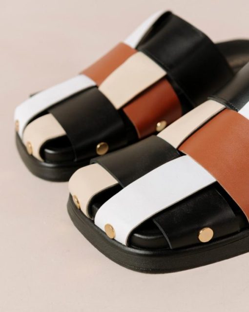 Modaary.shop6ebb6213bb 2