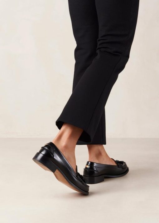 Modaary.shop713b89068f 5