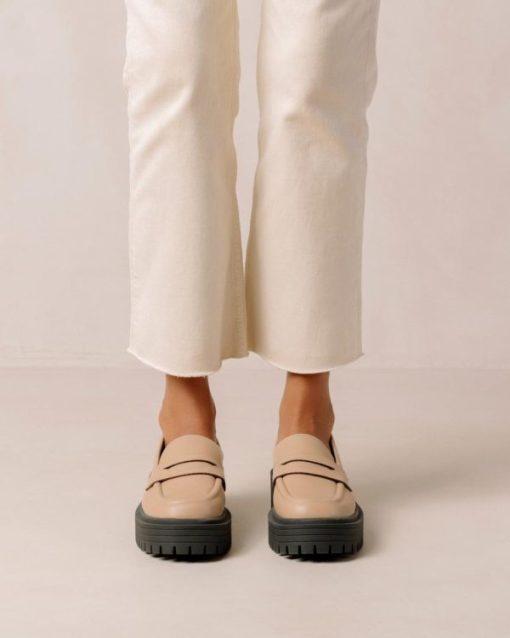 Modaary.shop72bd12b276 3