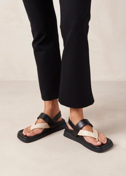 Modaary.shop7c5e4d287d 1