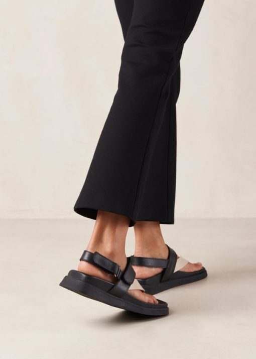 Modaary.shop7c5e4d287d 3
