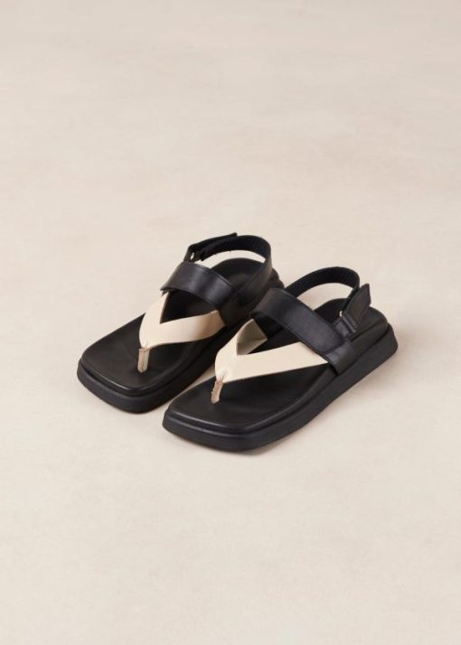 Modaary.shop7c5e4d287d 6