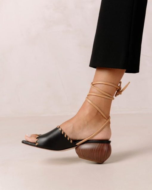 Modaary.shop7e2266360d 1