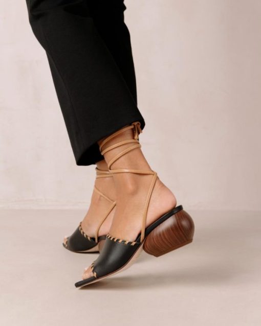 Modaary.shop7e2266360d 6