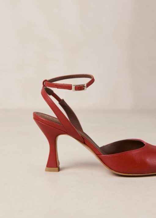 Modaary.shop82d35ee0cb 7
