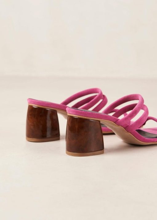 Modaary.shop8315cfa84b 6