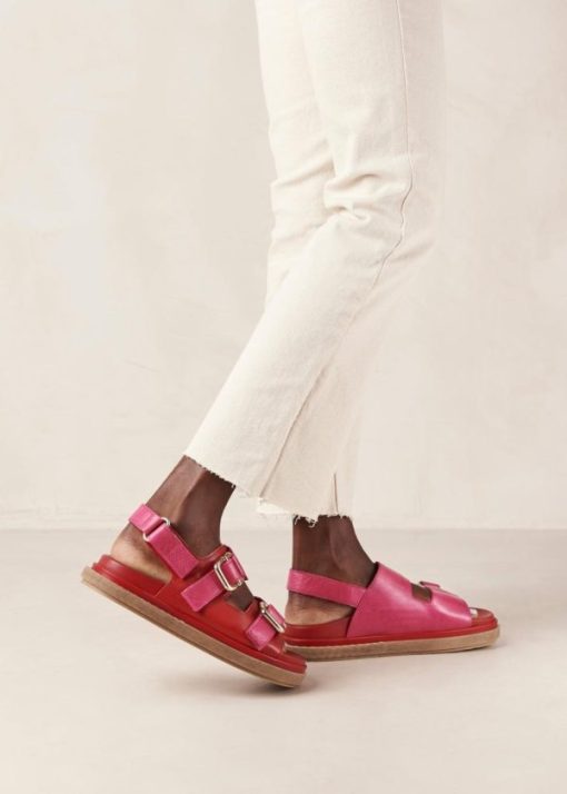 Modaary.shop844ea9666b 6