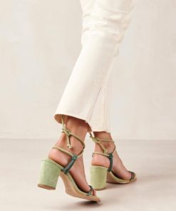 Modaary.shop866292250d 1
