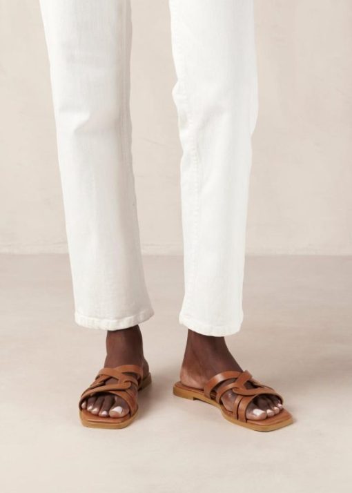 Modaary.shop8f3dc10255 1