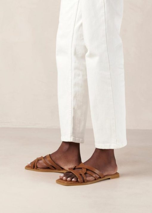 Modaary.shop8f3dc10255 4