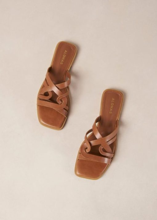 Modaary.shop8f3dc10255 5