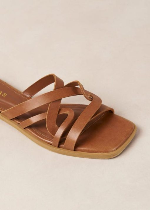 Modaary.shop8f3dc10255 6