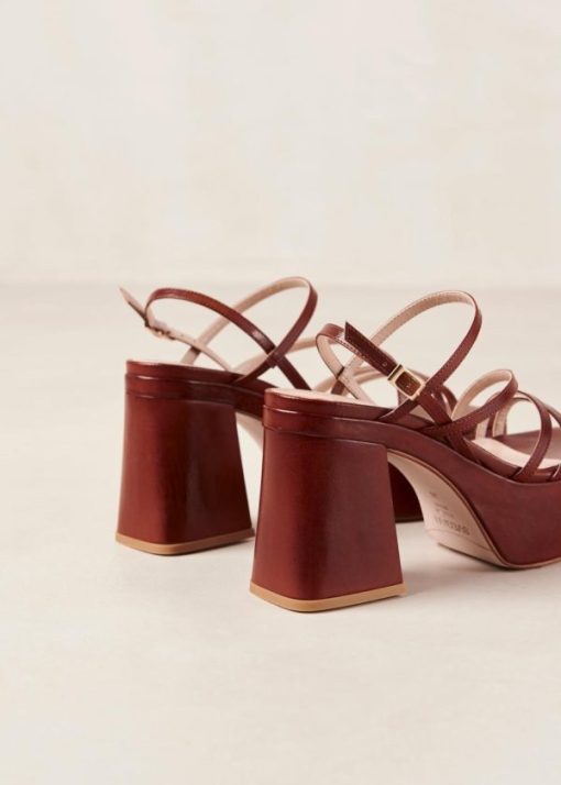 Modaary.shop918988f61f 8