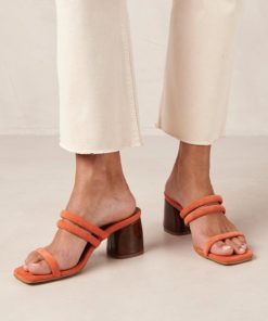 Modaary.shop941a557544 1