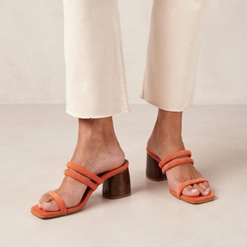 Modaary.shop941a557544 1