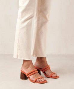 Modaary.shop941a557544 2