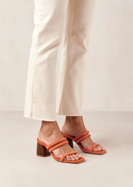 Modaary.shop941a557544 2
