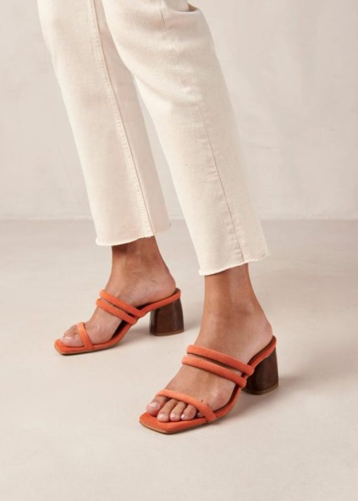 Modaary.shop941a557544 4