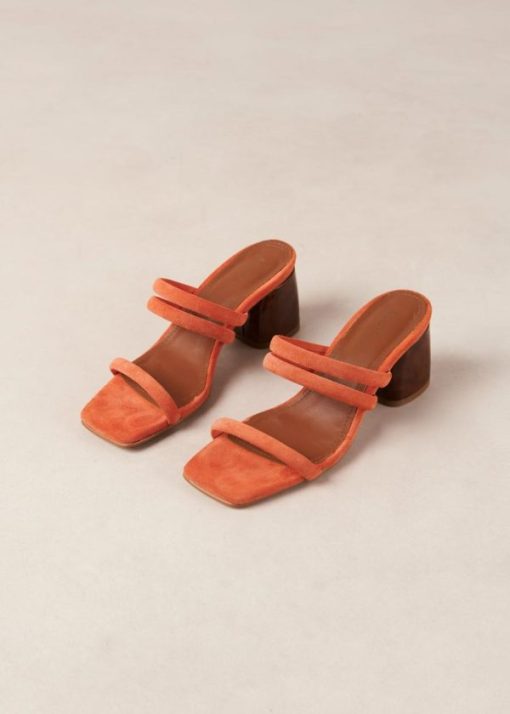 Modaary.shop941a557544 5