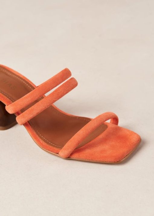 Modaary.shop941a557544 6