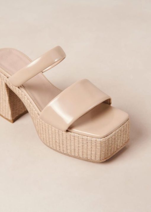 Modaary.shop9c724eccb2 6
