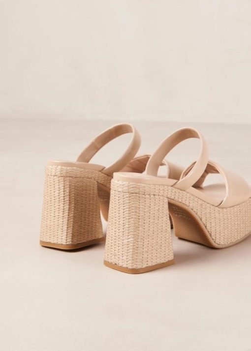 Modaary.shop9c724eccb2 7