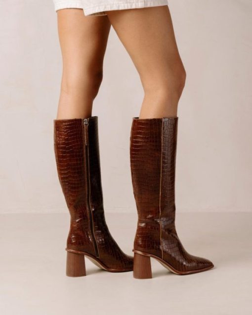 Modaary.shop9cba3550d5 4