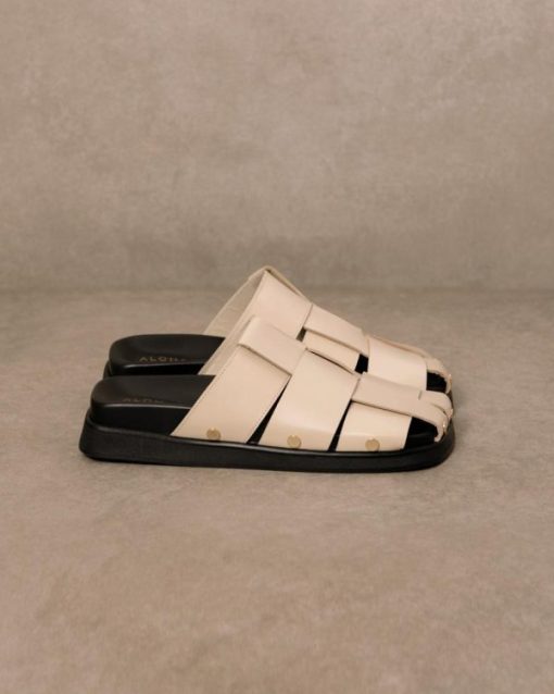 Modaary.shop9d7adf97a9 2