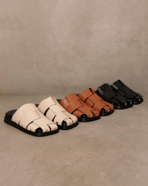 Modaary.shop9d7adf97a9 3