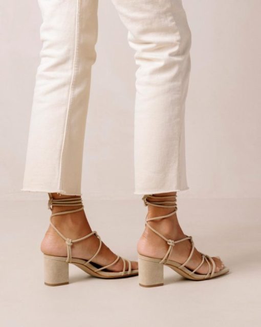 Modaary.shop9f351bcaba 1