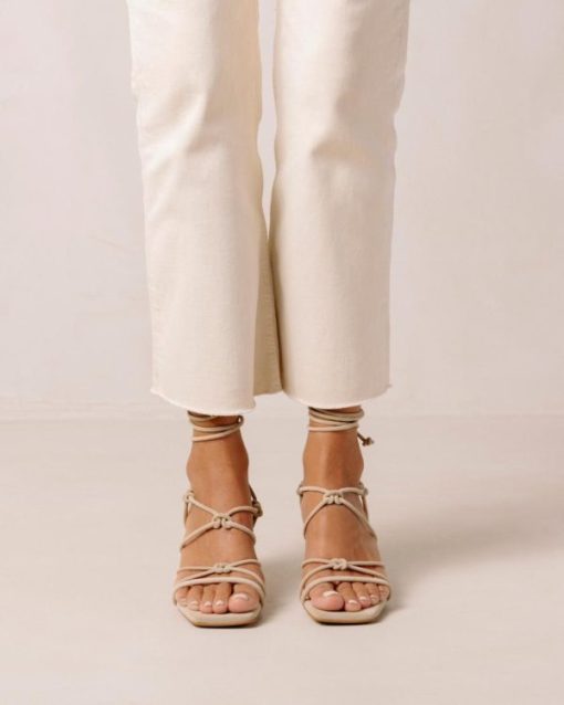 Modaary.shop9f351bcaba 3