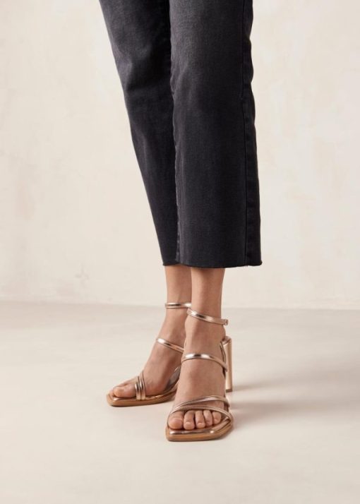 Modaary.shopa51a1efd28 1