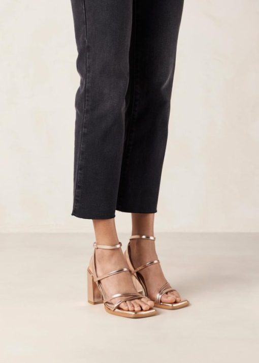 Modaary.shopa51a1efd28 3