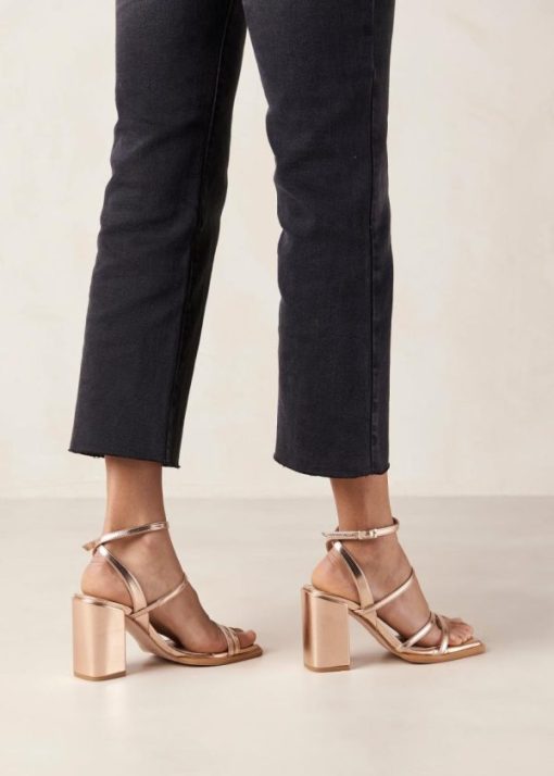 Modaary.shopa51a1efd28 4