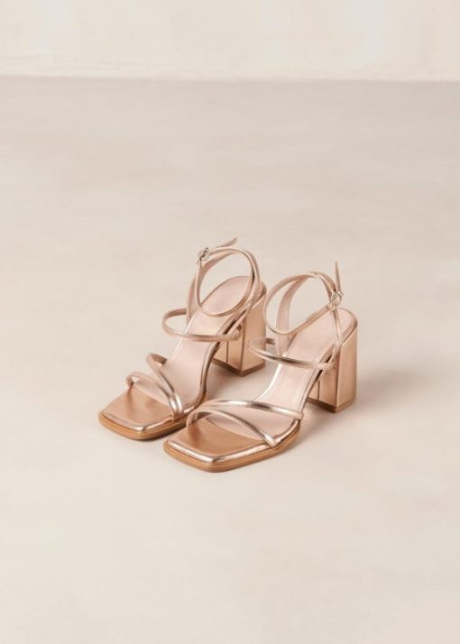 Modaary.shopa51a1efd28 6