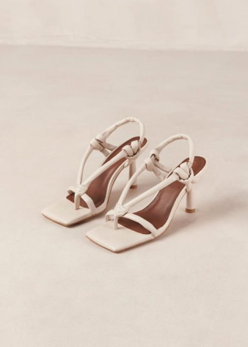 Modaary.shopa85d432be0 6