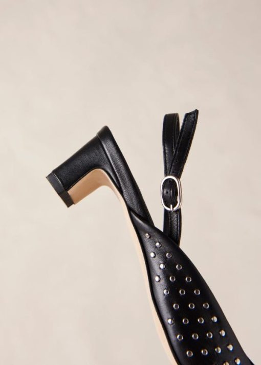 Modaary.shopac8ed24643 8