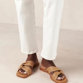 Modaary.shopafc53d5521 1