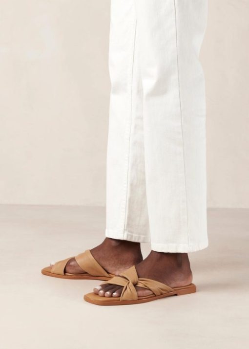 Modaary.shopafc53d5521 3