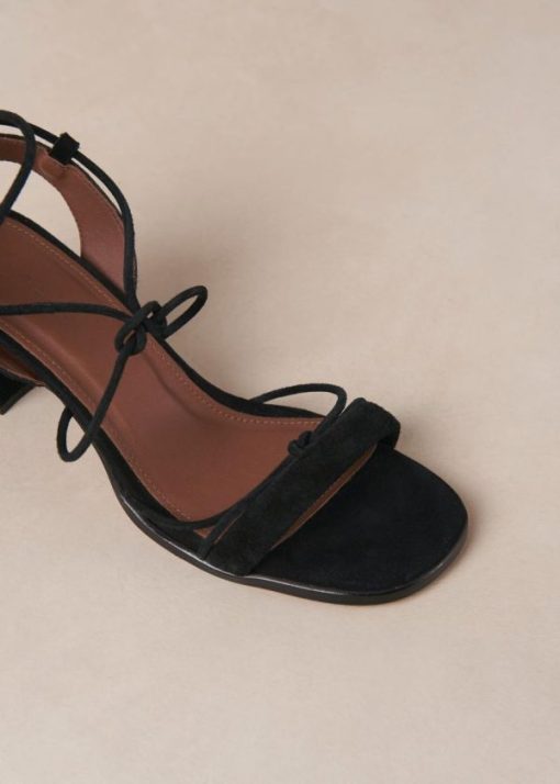 Modaary.shopb59544e270 7