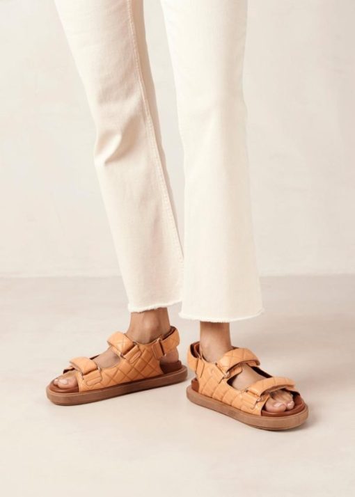 Modaary.shopb5ad515d03 1