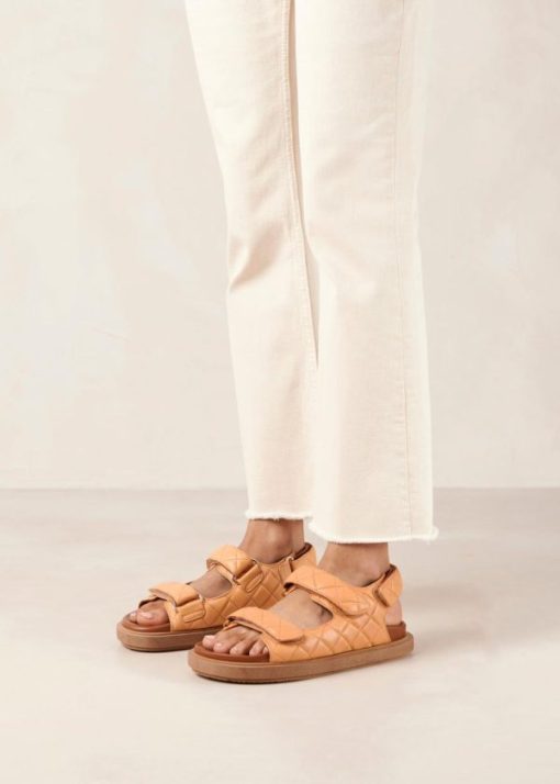Modaary.shopb5ad515d03 4