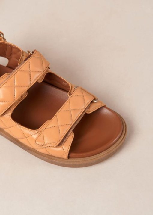 Modaary.shopb5ad515d03 6