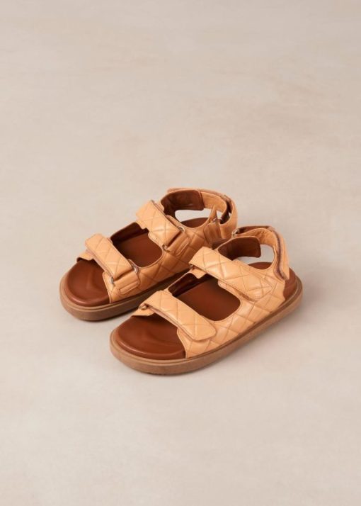 Modaary.shopb5ad515d03 7