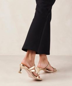 Modaary.shopbc51ed847d 1