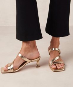 Modaary.shopbc51ed847d 2