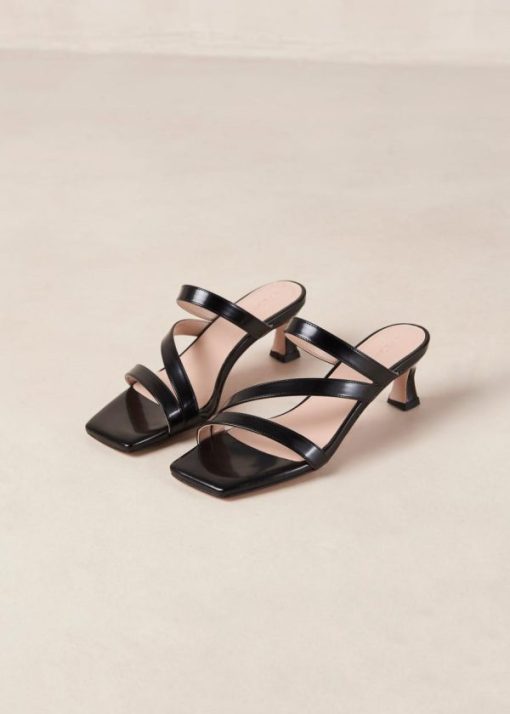 Modaary.shopc1344a37be 6
