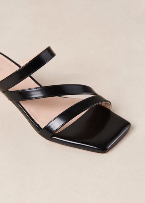 Modaary.shopc1344a37be 7