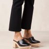 Modaary.shopc157dbce8a 4