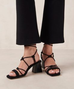 Modaary.shopc56f800ea2 2